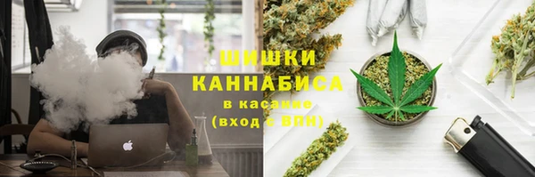 Альфа ПВП Сосновка