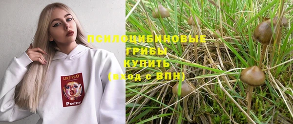 не бодяженный Беломорск