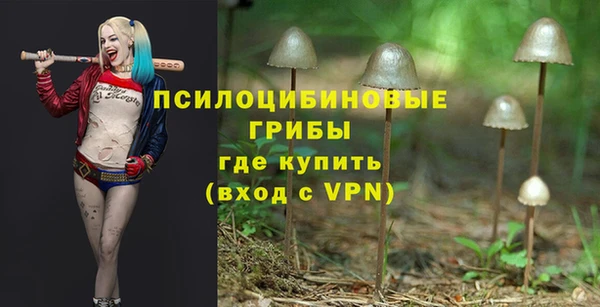 Альфа ПВП Белоозёрский