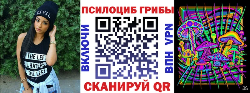 цены наркотик  Кувандык  Псилоцибиновые грибы Cubensis 